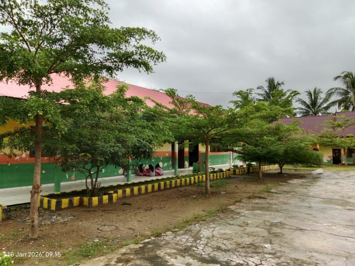 Hijau dan Sejuk, Keindahan Lingkungan MTsN 1 Bungo di Musim Hujan