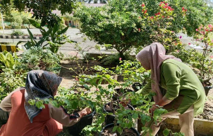 Rawat Kembang Agar Tetap Cantik, Ibu Anita Bersihkan Pot Bunga dari Gulma dan Sampah