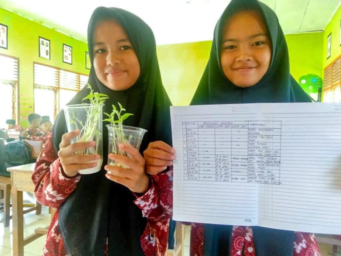 Siswa-Siswi Kelas VII B dan VII C MTsN 1 Bungo Sukses Gelar Proyek Ilmiah Laju Pertumbuhan Kecambah Bunga