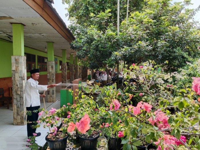 Menjaga Keindahan Sekolah, Staf TU MTsN 1 Bungo Sirami Bunga Saat Musim Kemarau Menjaga Keindahan Sekolah, Staf TU MTsN 1 Bungo Sirami Bunga Saat Musim Kemarau