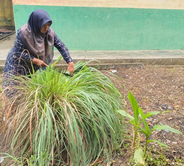 Aksi Peduli TOGA: Ibu Yesinawati Pangkas Daun Serai untuk Jaga Kesuburan