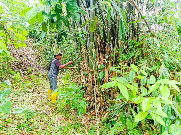 Kompak dan Semangat! Kepala MTsN 1 Bungo Turun Langsung Siapkan Perlengkapan Jamran Kontingen Kompak dan Semangat! Kepala MTsN 1 Bungo Turun Langsung Siapkan Perlengkapan Jamran Kontingen