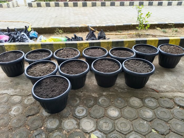 Siswa MTsN 1 Bungo Sibuk Meracik Media Tanam, Siapkan Pot untuk Bunga Hiasi Madrasah